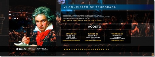 BANNER VI Concierto de Temporada