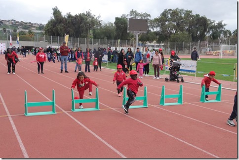 mini olimpiadas1