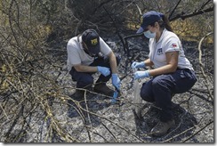 0022 repol valpo incendio quilpue reserva nacional lago peñuelas 16-01-2021 lpo, punto de prensa incendio quilpue, incendio reserva nacional lago peñuelas, ayuda veterinaria pdi en incendio, reunion de trabajo prefecto inspector jefe regional valpo juan vergara, pdi y comunidad, reunion